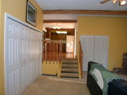 Lower level fireplace